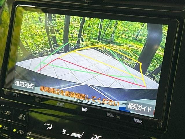 25734618_carP_l_4.jpg