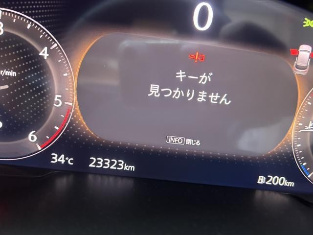 25431119_carP_l_14.jpg
