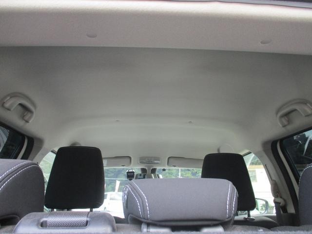 25051110_carP_l_9.jpg