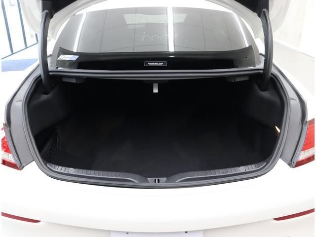 26105346_carP_l_17.jpg