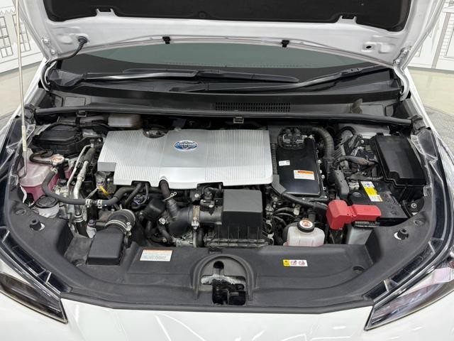 1150063A30260929W00518.jpg