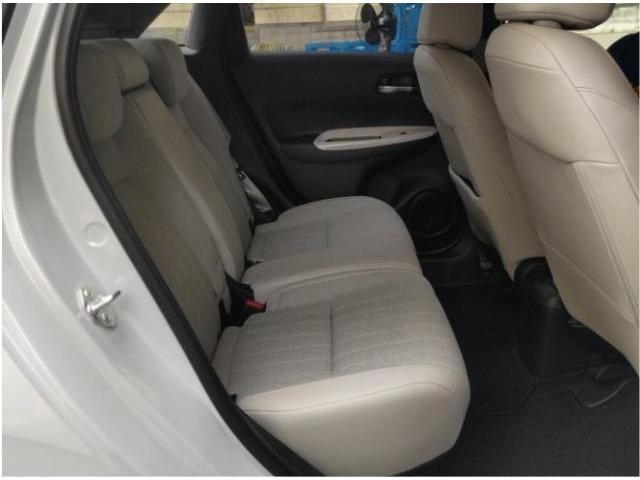 26064683_carP_l_13.jpg