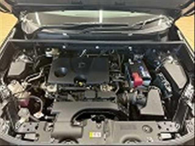 24863773_carP_l_16.jpg