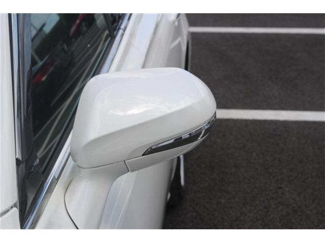 25909306_carP_l_8.jpg