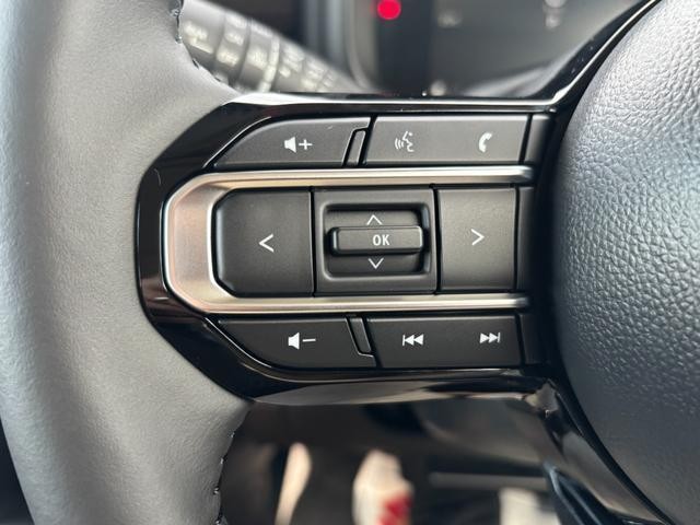 25715243_carP_l_8.jpg