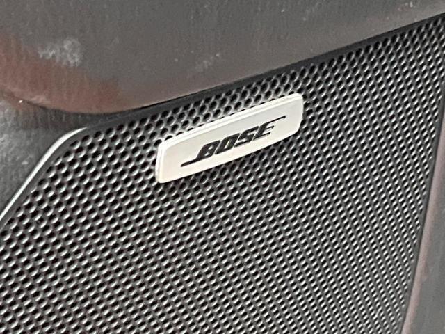24199263_carP_l_10.jpg