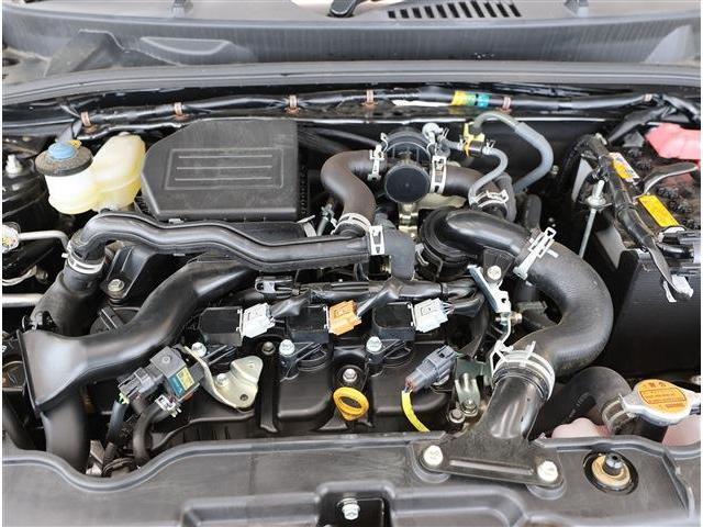 24988322_carP_l_20.jpg