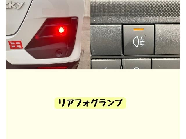 0206741A30261002W00311.jpg