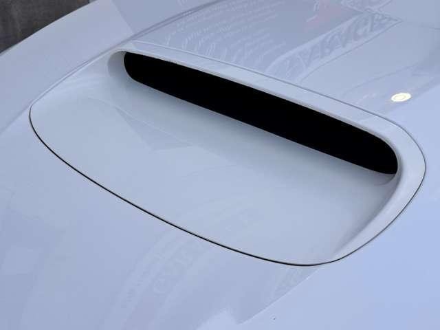 25752123_carP_l_8.jpg