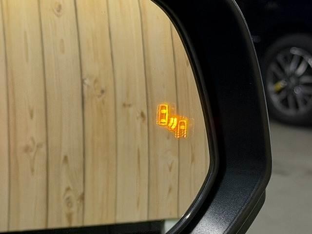 0204915A20261022D00205.jpg