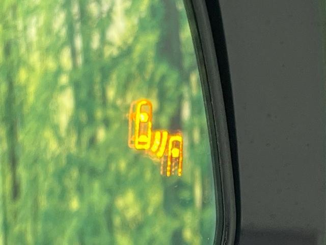 26446095_carP_l_17.jpg