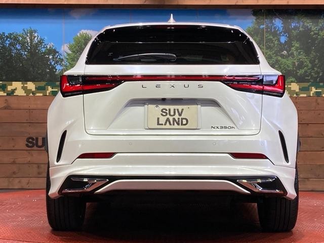 26292931_carP_l_9.jpg