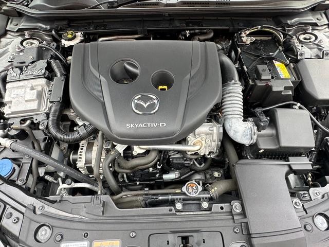 0507054A30260829W00418.jpg