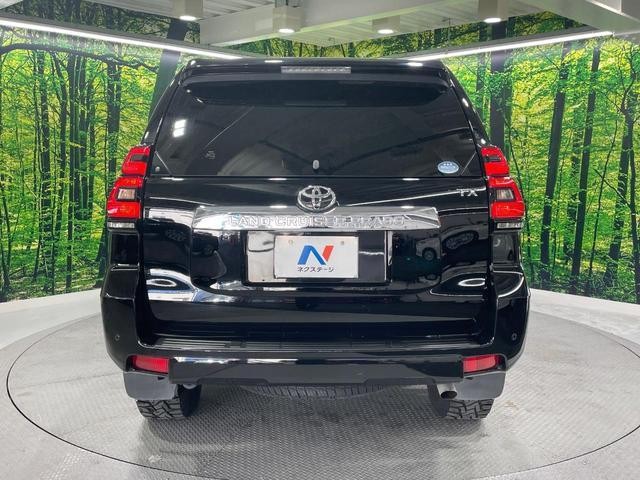 26861880_carP_l_11.jpg