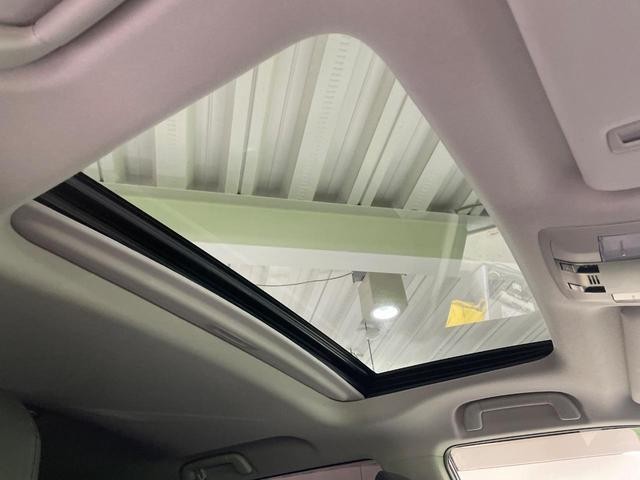 26861880_carP_l_13.jpg