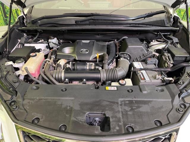25754518_carP_l_16.jpg