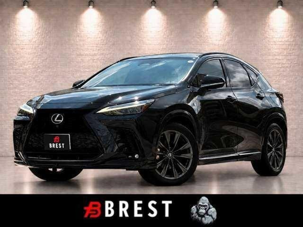 2021 Lexus Nx, photo 1 of 1