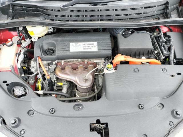 26376913_carP_l_19.jpg