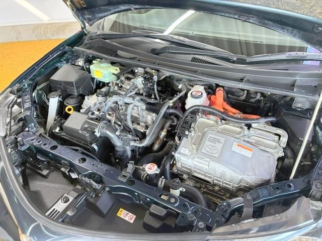 0560069A20260512W00106.jpg