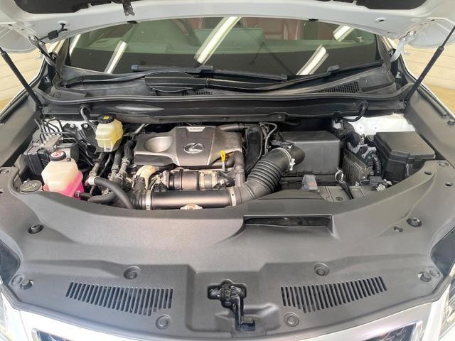 26230374_carP_l_16.jpg