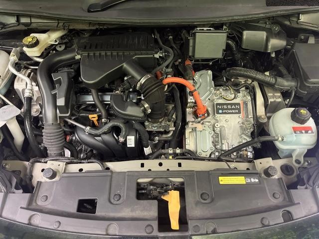 26063401_carP_l_16.jpg