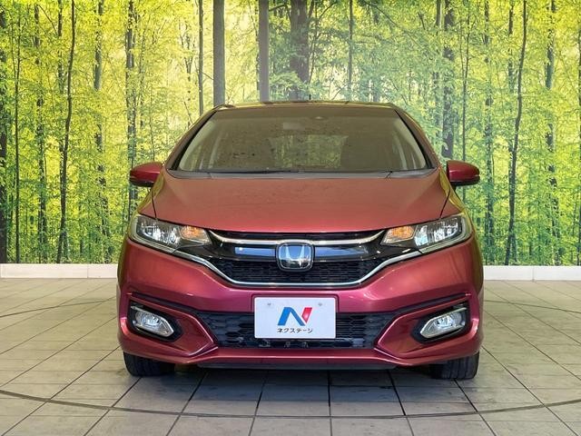 26946528_carP_l_8.jpg