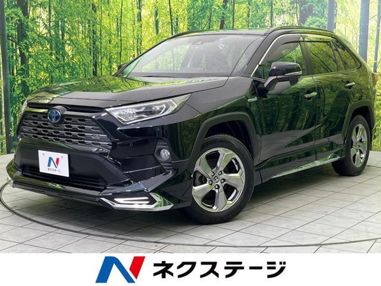 2019 Toyota Rav4, photo 1 of 1