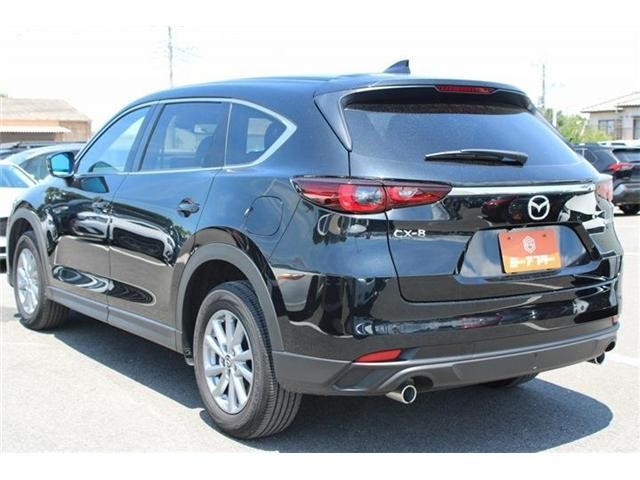 25289130_carP_l_9.jpg