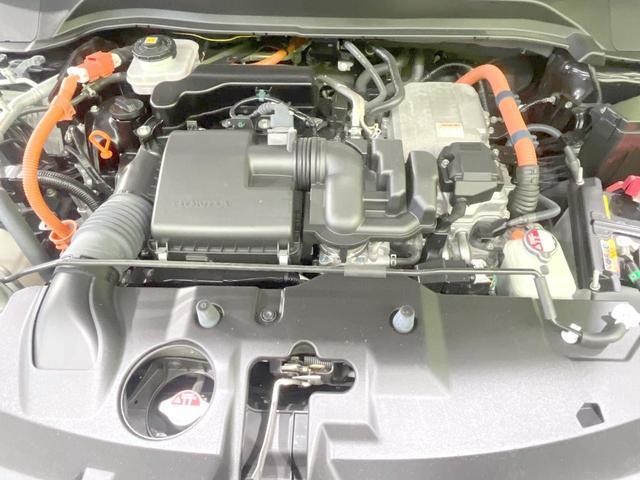 26601041_carP_l_16.jpg