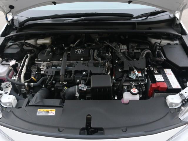24706430_carP_l_17.jpg