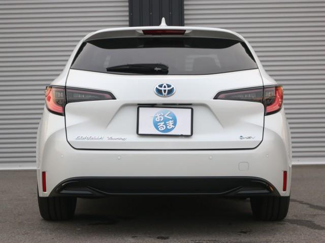 24706430_carP_l_3.jpg