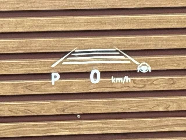 0208369A20261025D00306.jpg
