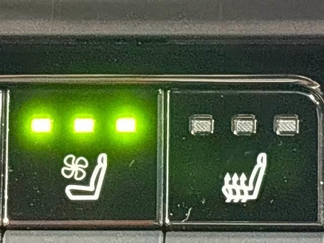 0208369A20261025D00308.jpg
