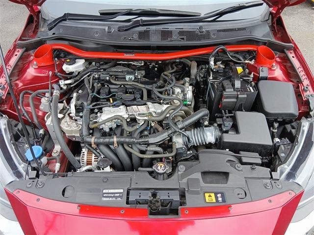 24988344_carP_l_18.jpg