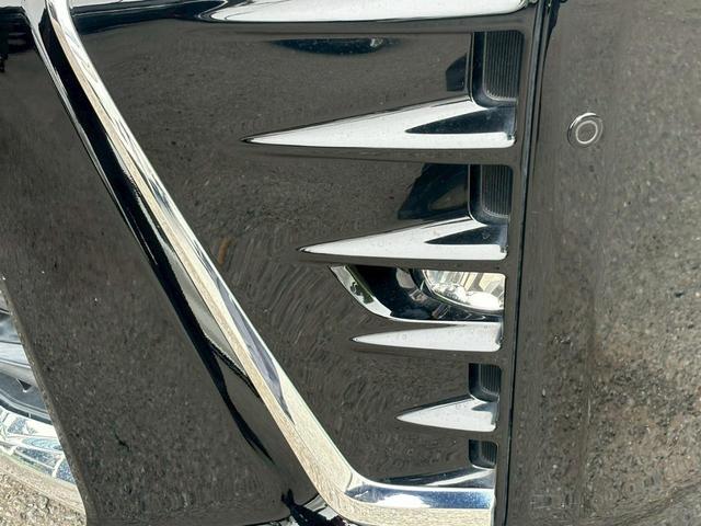 0707772A30260423W00115.jpg