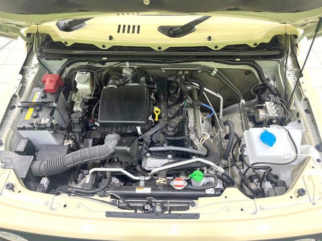 24869677_carP_l_16.jpg