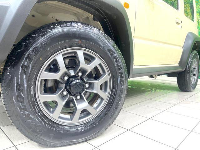 24869677_carP_l_7.jpg