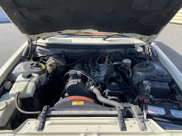 26876714_carP_l_18.jpg