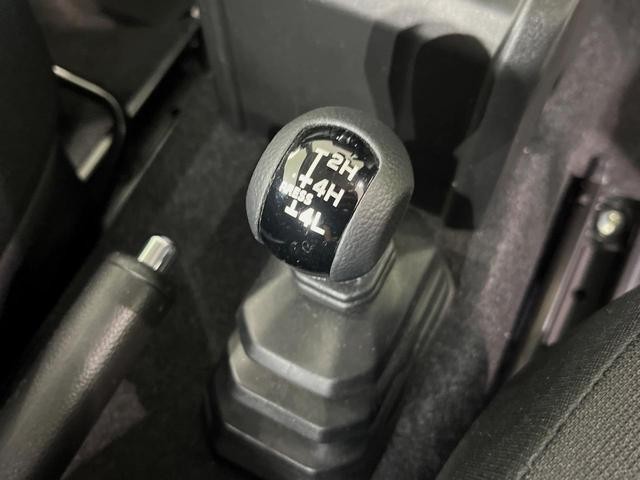 25754787_carP_l_4.jpg