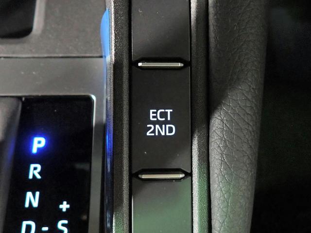 0230024A30260706W00314.jpg