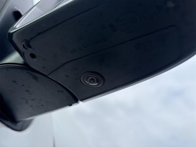 0201183A30260708W00214.jpg