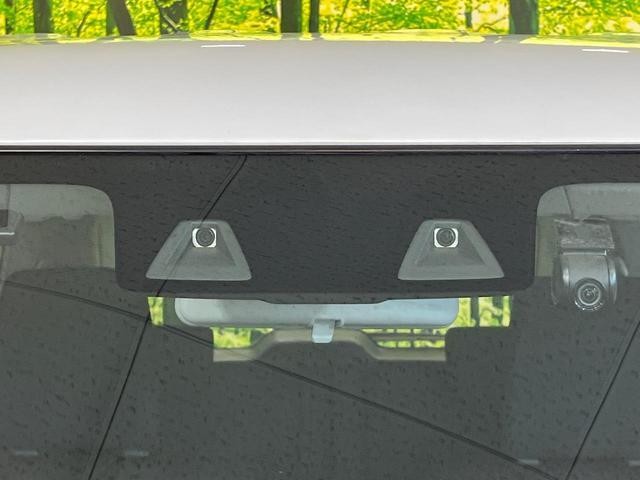25754848_carP_l_10.jpg
