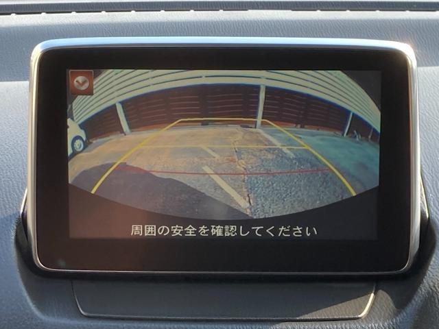 26705607_carP_l_14.jpg