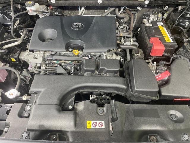 24706497_carP_l_16.jpg