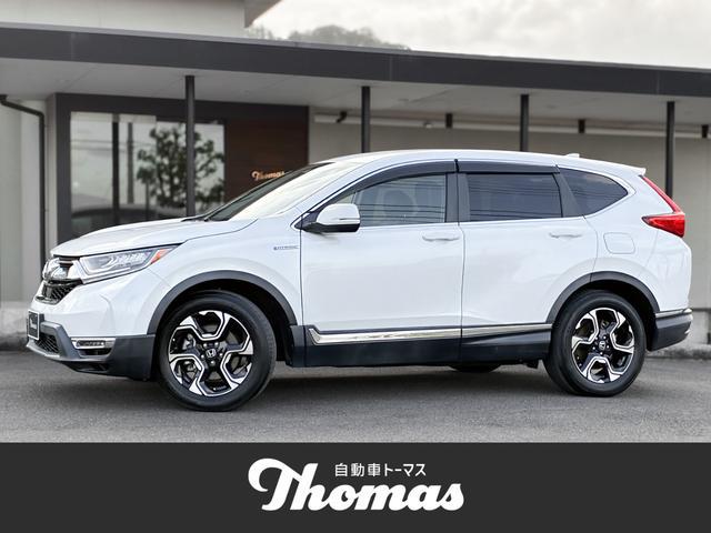 25754639_carP_l_1.jpg