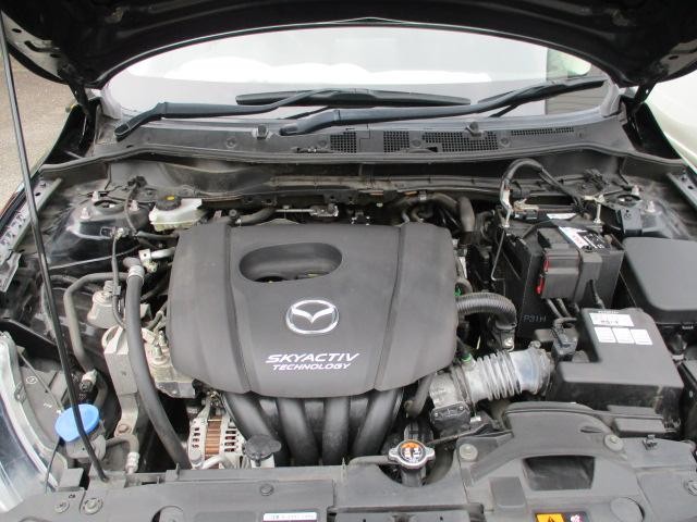 0200974A30260824W00408.jpg