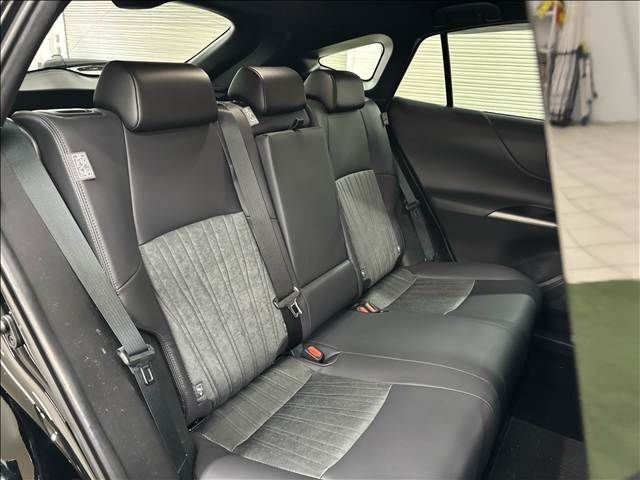 c82736094fca78b94e53383c1b41457b.jpg
