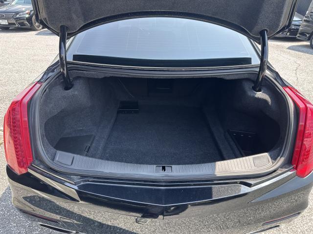 24902290_carP_l_19.jpg