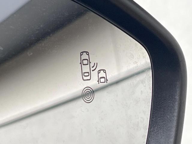 26251390_carP_l_14.jpg