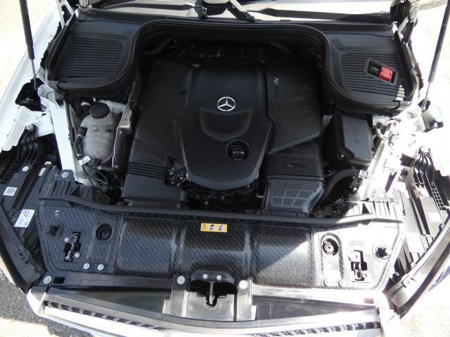 25425160_carP_l_20.jpg